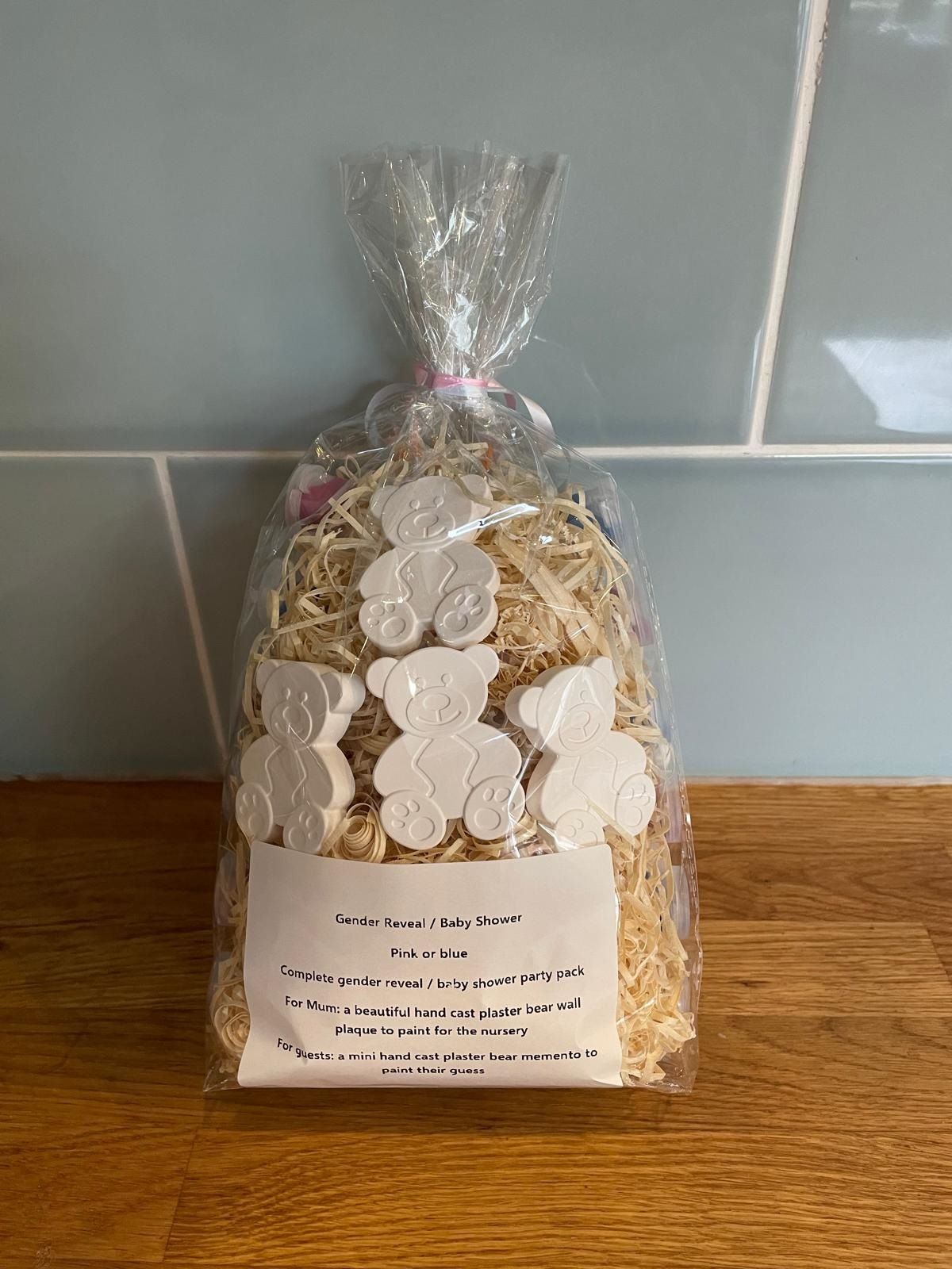 Gender Reveal Bear kit