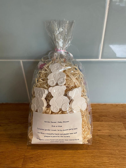 Gender Reveal Bear kit
